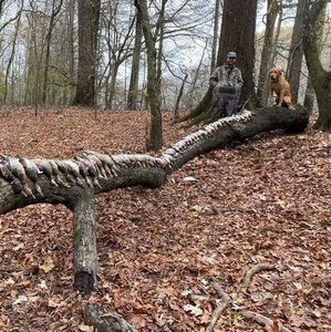 Meet your Posher, Hunter